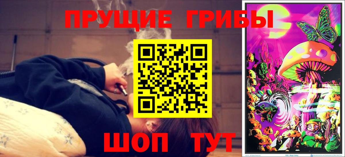 Псилоцибиновые грибы GOLDEN TEACHER Хасавюрт