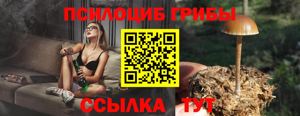 Галлюциногенные грибы Cubensis  Галлюциногенные грибы MAGIC MUSHROOMS  Хасавюрт  купить наркотик  Вход с VPN 